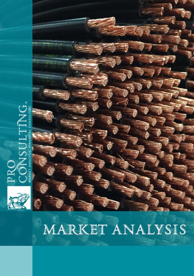 Market research report on the cable market in Ukraine. 2022 year